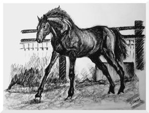 Art sketch 5