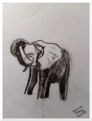 Art sketch 13